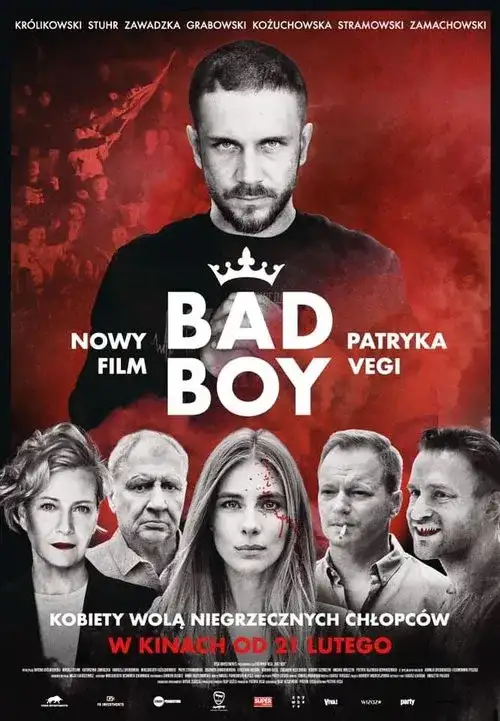 Download Bad Boy (Season 1) Dual Audio {Hindi English} Netflix Series 480p | 720p | 1080p WEB DL 17 bad boy season 1