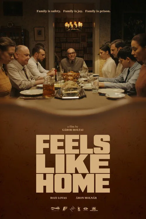 Download Feels Like Home (Season 1 β 2) Hindi Lionsgate Play Complete WEB Series 480p | 720p HDRip 23 feels like home season 1