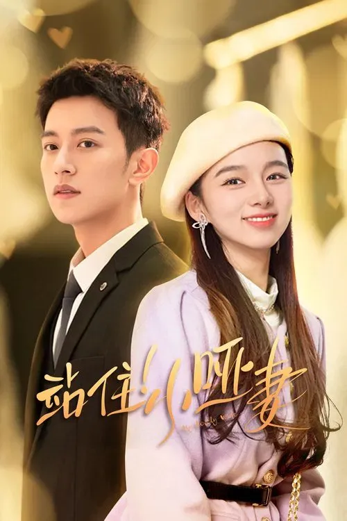 Download My Lovely Wife (Season 1) Hindi ORG Dubbed C Drama Series 480p 720p & 1080p WEB DL 22 my lovely wife season 1