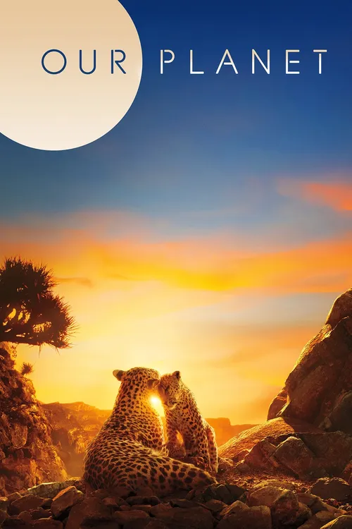 Download Our Planet (Season 1 β 2) Complete Netflix Original Dual Audio {Hindi English} WEB Series 480p | 720p | 1080p WEB DL 15 our planet season 1