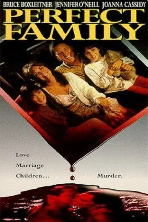 Download Perfect Family (Season 1) Hindi Complete Web Series 480p | 720p | 1080p WEB DL 20 perfect family season 1