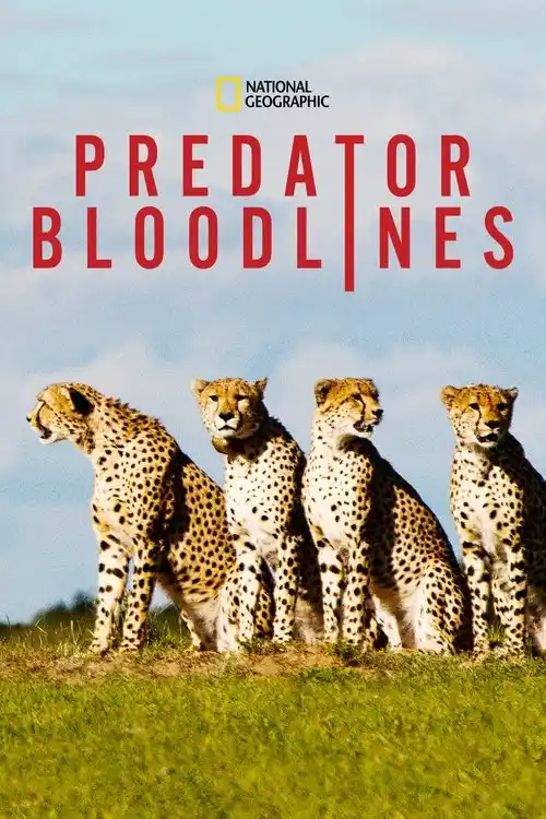 Download Predator Bloodlines (2021) Season 1 Hindi Complete DSNP WEB Series 480p | 720p HDRip 11 predator bloodlines 2021