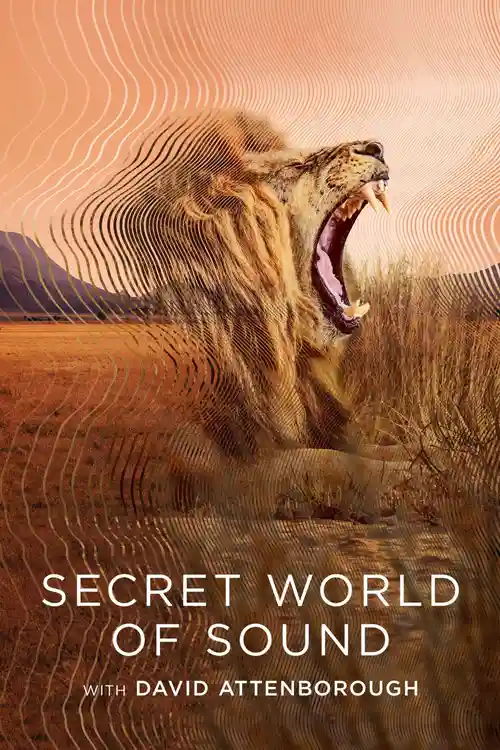 Download Secret World of Sound with David Attenborough – S01 (2024) Dual Audio {Hindi English} WEB Series 720p & 1080p WEB DL 11 secret world of sound with david attenborough s01 2024