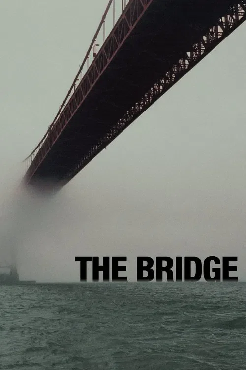 Download The Bridge (Season 1 β 4) Dual Audio {Hindi English} 480p | 720p | 1080p AMZN WEB DL 17 the bridge season 1