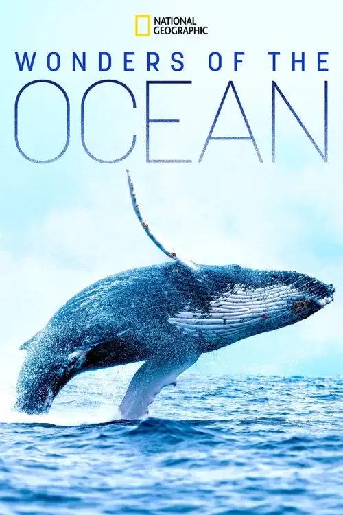 Download Wonders of the Ocean (2021) Season 1 Hindi Complete DSNP WEB Series 480p | 720p HDRip 9 wonders of the ocean 2021