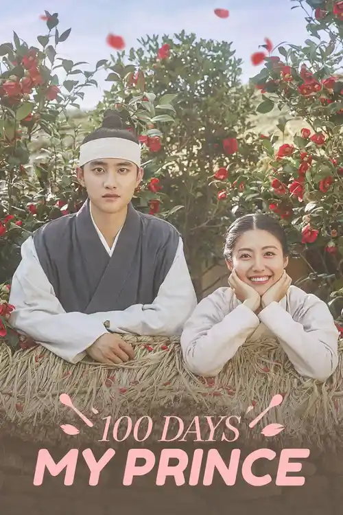 Download 100 Days My Prince (Season 1) Dual Audio {Hindi-Korean} Series 480P 720P & 1080P Web-Dl 3 100 days my prince season 1
