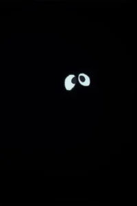 eyes season 1