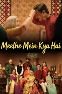 netflix meethe mein kya hai 2026